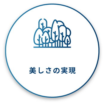 美しさの実現