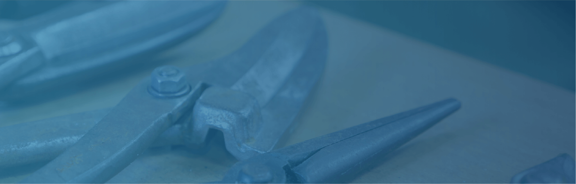 メインイメージ